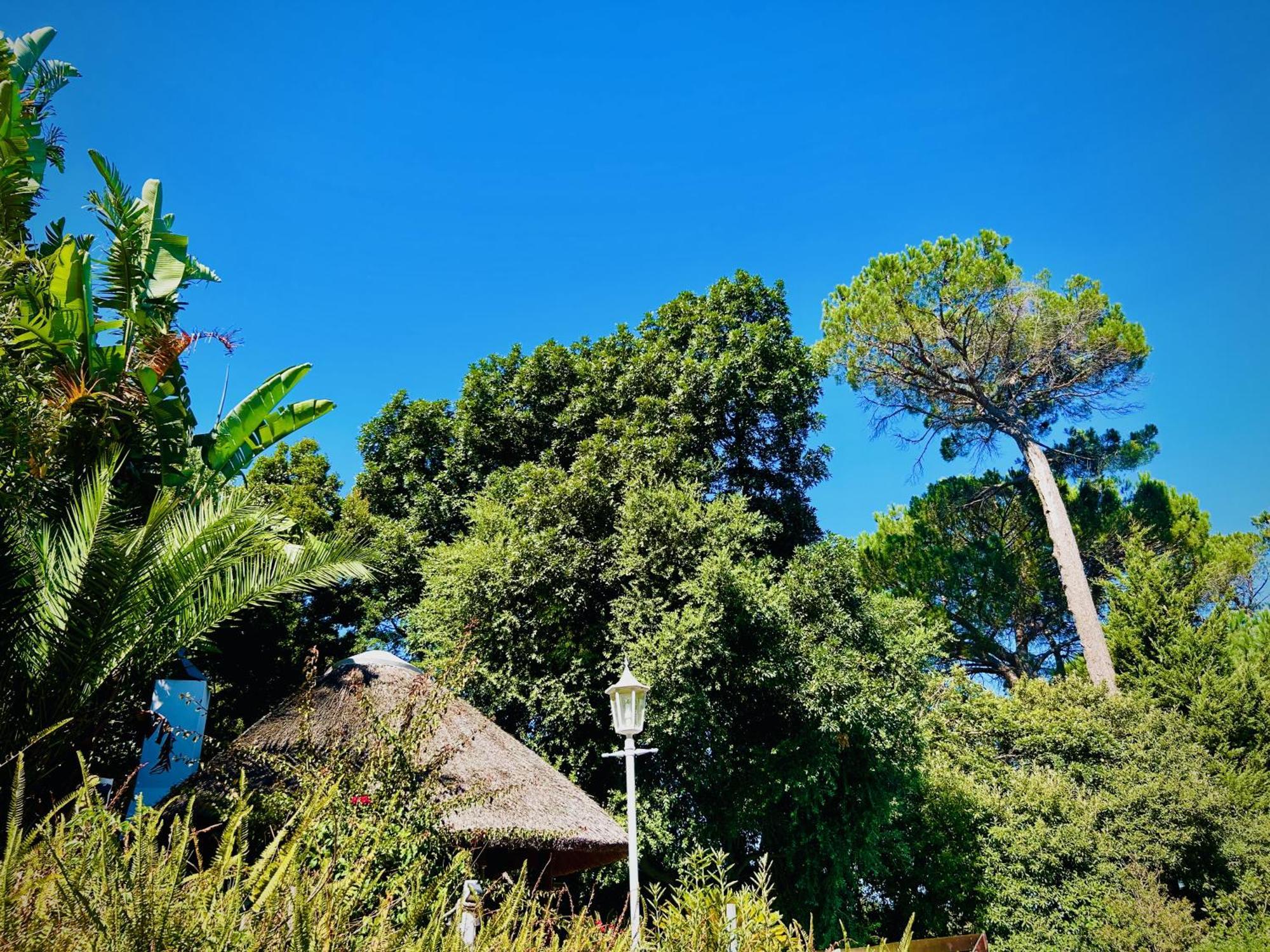 Helderberg Guest house Somerset West
